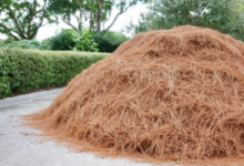 Why Pine Straw Installation Is Essential for Weed Prevention and Garden Maintenance