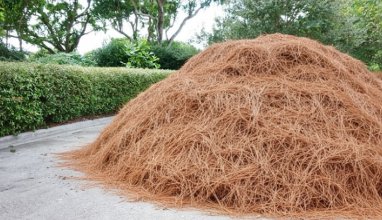Why Pine Straw Installation Is Essential for Weed Prevention and Garden Maintenance