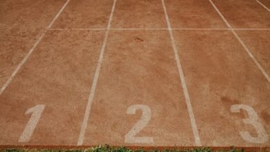 track channel 18554074767