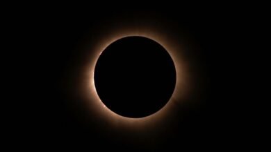 eclipse core growth node