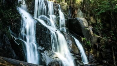 market transformation for competition