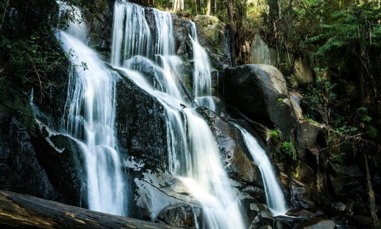 market transformation for competition