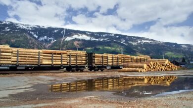 wlvhtmskdn platform activity logs