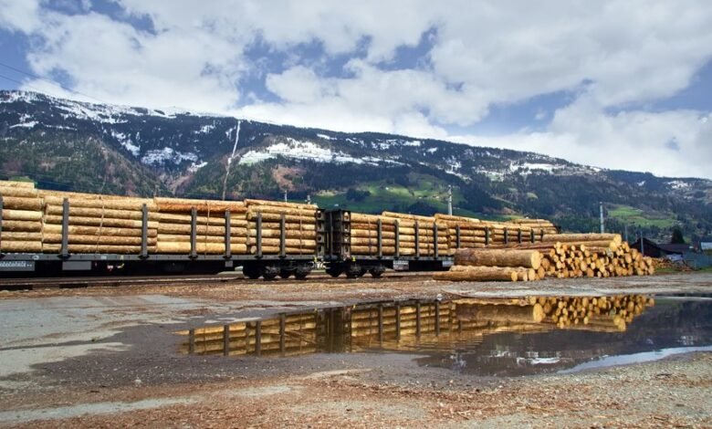 wlvhtmskdn platform activity logs